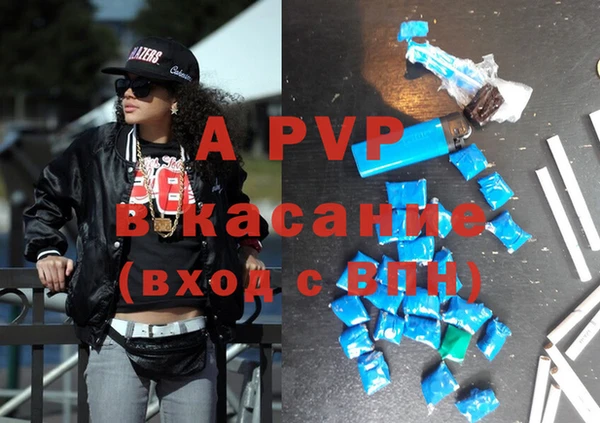 хмурый Липки
