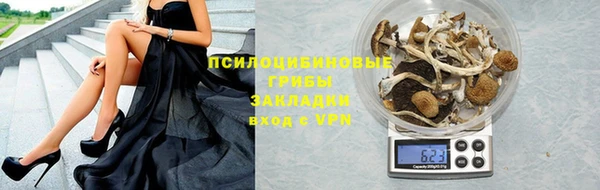 эйфоретик Алексеевка