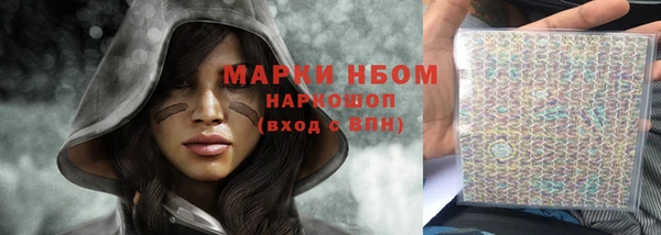 индика Абаза