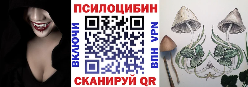 закладка Домодедово Галлюциногенные грибы прущие грибы