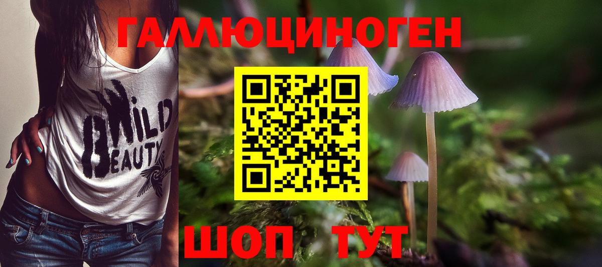 Домодедово  закладка  Вход с VPN  Псилоцибиновые грибы ЛСД 